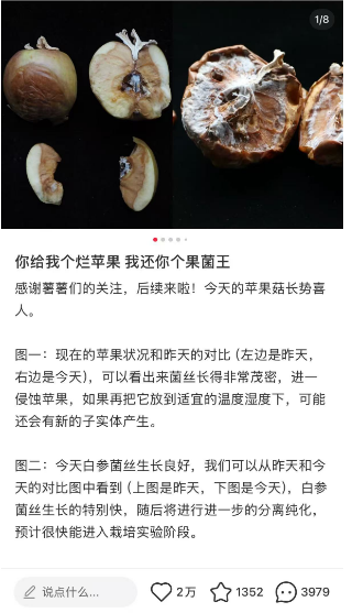 男子迈巴赫撞报废 保险拖3个月缩水:赔付从127万变117万还要降